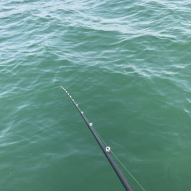 動画撮ってみた！ 投稿です   よろしくお願いしますの画像