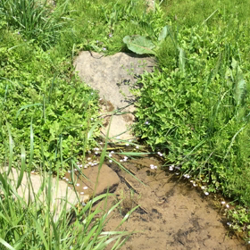 命の源流の画像