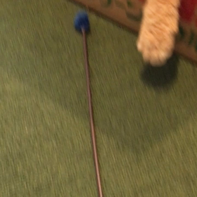 モグラ叩き？の画像