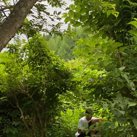 “自然と音遊び” プロジェクト vol.052！の画像