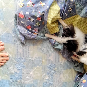 遊び相手の画像