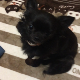 ペコちゃん×花凛の画像