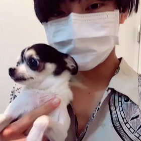 ☺︎楽です☺︎読むんだお！の画像