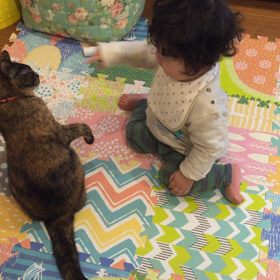 入園前面談の画像