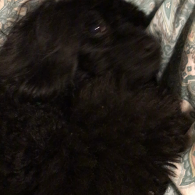 う〜〜んの画像