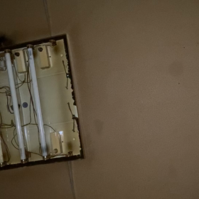 そうゆうの？の画像