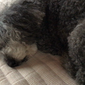 笑ったー！！の画像