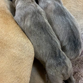 なんと！出産しました！の画像