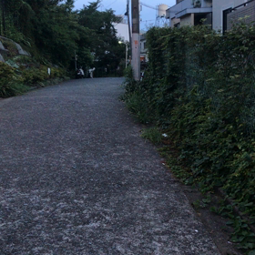 ♪お散歩動画♪参宮橋公園♪の画像