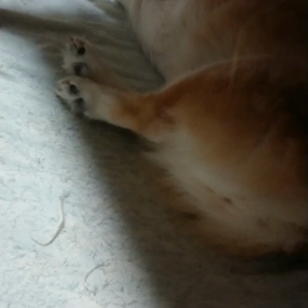 撮ったな！！の画像