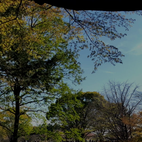 好評につき(⑉• •⑉)の画像