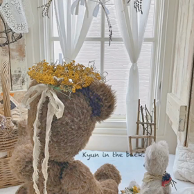 mimosa work shop＊movieの画像