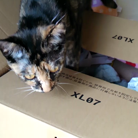 遊び道具の画像