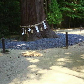 今年の節目   夏越の祓いの画像