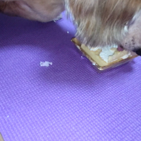 ケーキその3の画像