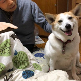 90歳の祖父とチロルU^ェ^Uの画像