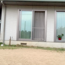 大好きボール遊びの画像