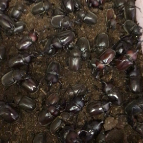 間に合った❓の画像