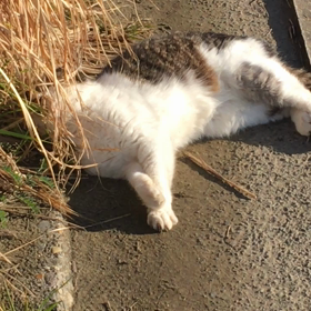 昨日知り合いから相談を受けました。の画像