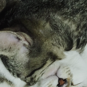 関東はこの冬1番の冷え込みの画像