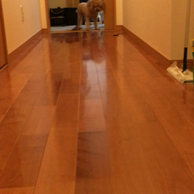 なかなか難しい    笑の画像