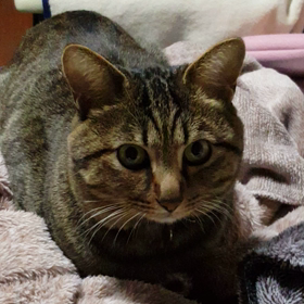 遅ればせながら、、、の画像