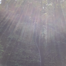 榛名神社の神様が呼んで下さった⁉️の画像