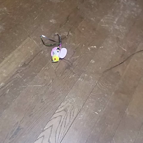 お正月はよく遊んだなの画像