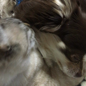 微笑ましい(●´ω｀●)の画像