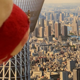 東京上空飛行〜✨の画像