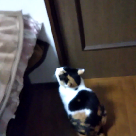 開けて～の画像