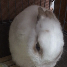 男の身だしなみの画像