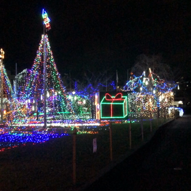 冬のイルミネーション❄️の画像