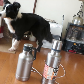 アイカリ動画の画像