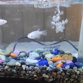 暖かくなって活発に。の画像