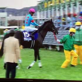 今週の重賞 JAPAN CUP Week　振り返りの画像