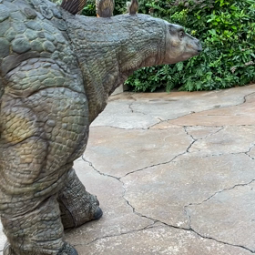 恐竜ちゃんたちを間近でお見送り♪( ´▽｀)の画像