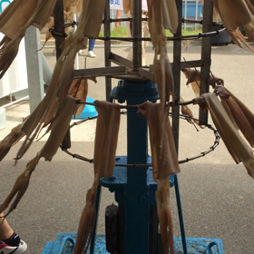 娘の就職、明日で一週間の画  像