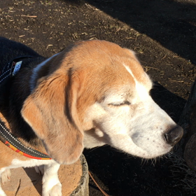 足短いけどの画 像