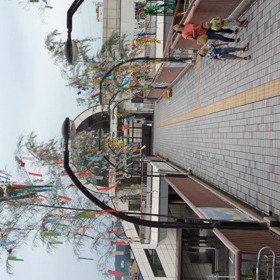 早いものでもう七夕。の画像