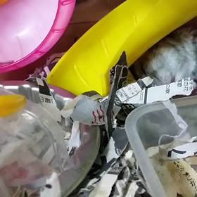 ひくひくの画像