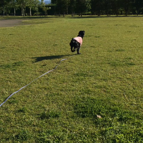 短時間で体力消耗。の画像