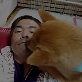 本日のﾍﾞﾛﾍﾞﾛ(笑)の画像