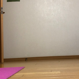 アマゾンの荷物。辞めれない仕事…楽しかった1ヶ月。保護猫デール動画。の画像