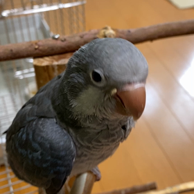 ちょっとだけの画像