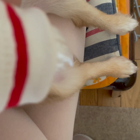 ☆座る☆の画像