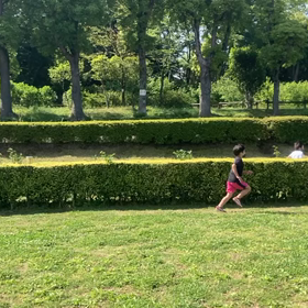 往復ダッシュ④の画像