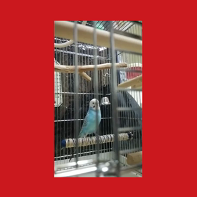 くうちゃんからいただきました！の画像