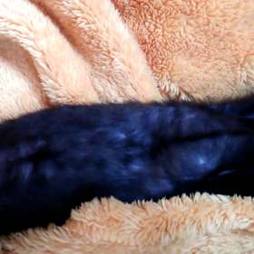 生活のリズムが…(ToT)の画像