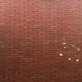 北京の最初の雪❄️⛄️の画像